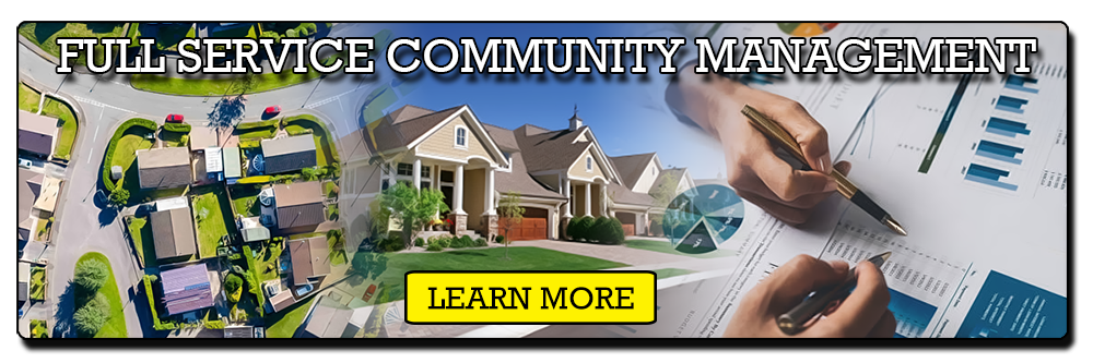 Norton Community Management